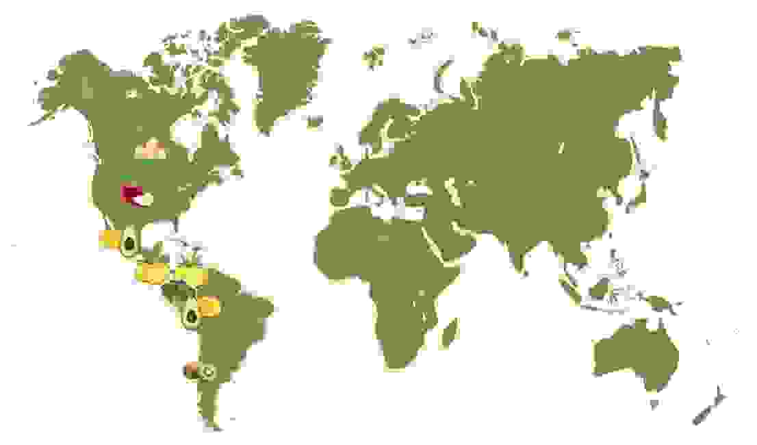 Map_NT Mango Kiwi Fusion (4).jpg