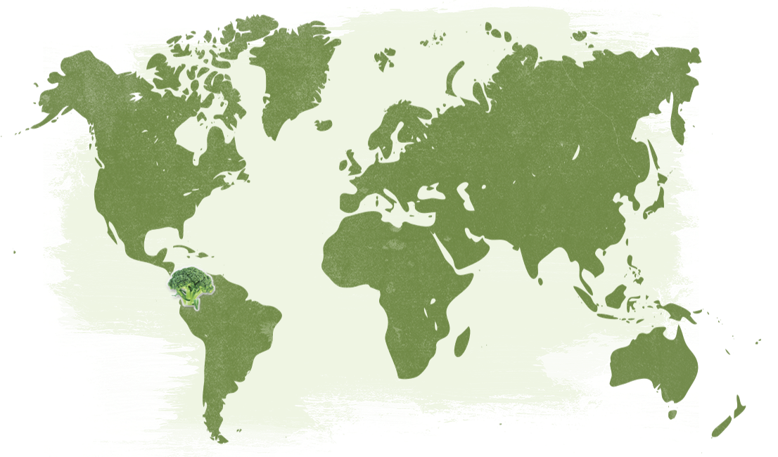 Map-Organic-Pesticide-Free-Broccoli-Florets_NatureTouch.png