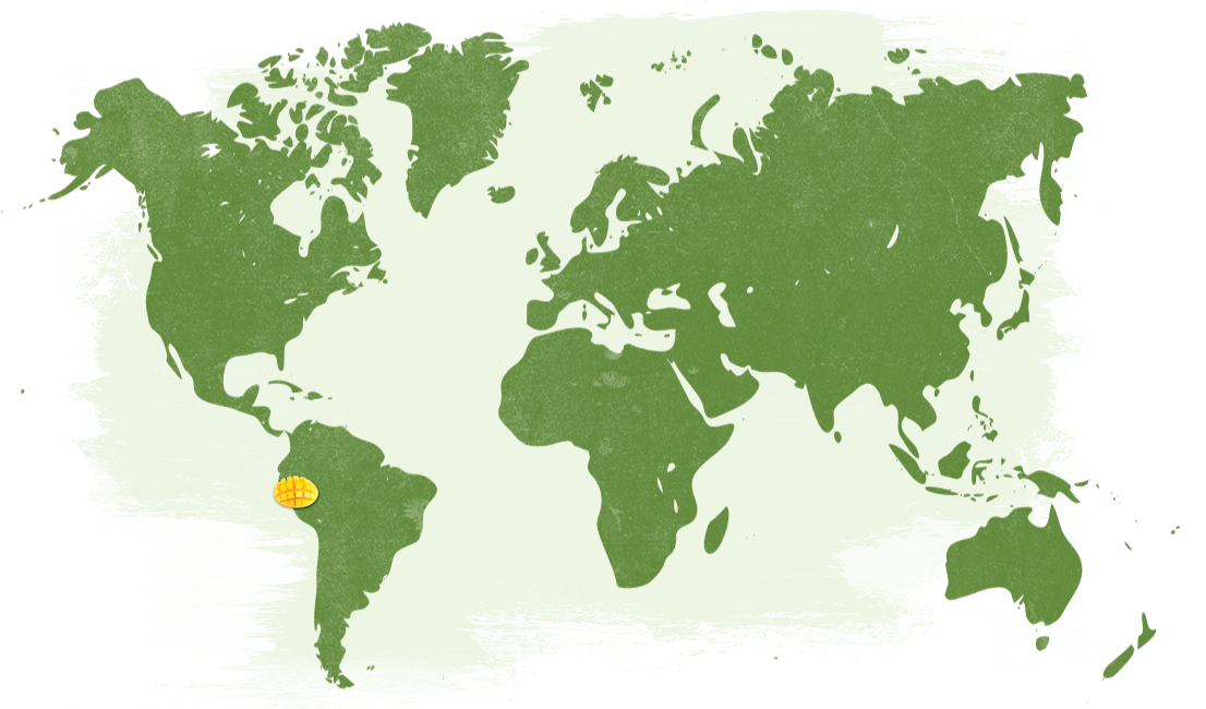 Map-Pesticide-Free-Mangoes---USA_NatureTouch.png