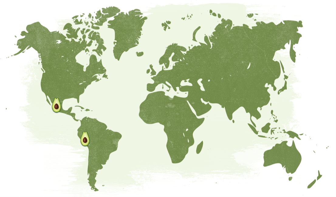 Map-Avocado_NatureTouch.png