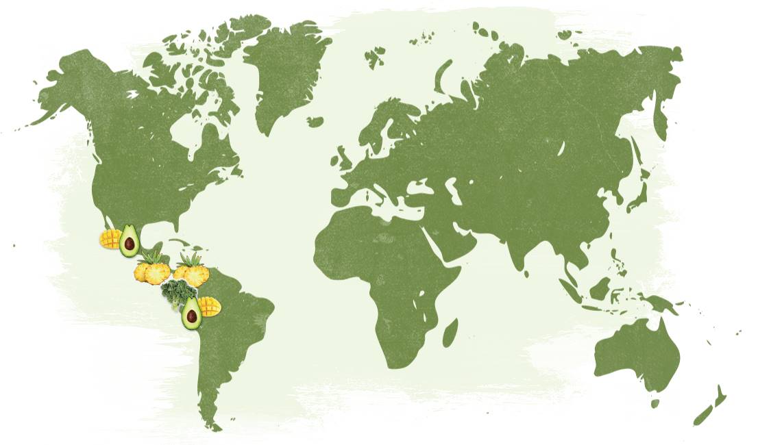 Map_NT Tropical Avocado Bliss.jpg