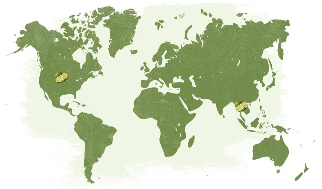 _Map-NT USA Lime.jpg